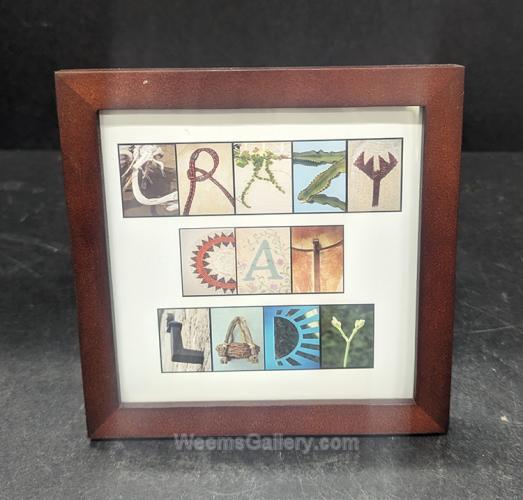 Crazy Cat Lady - Br by Linda Cecil